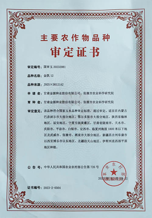 金凯12