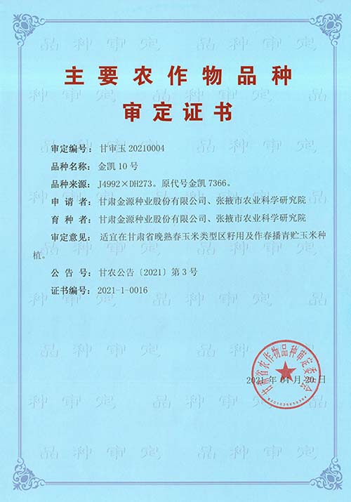 金凯10号